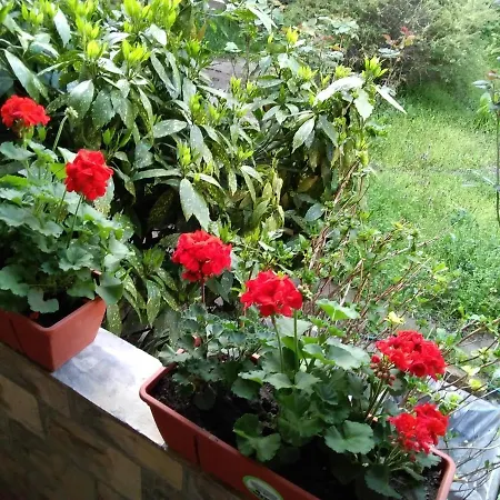 Citadela Konukevi 3*